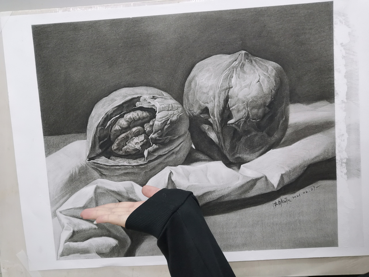 素描静物大核桃