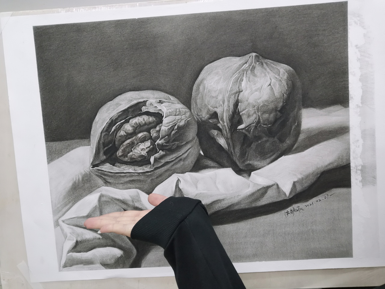 素描静物——大核桃