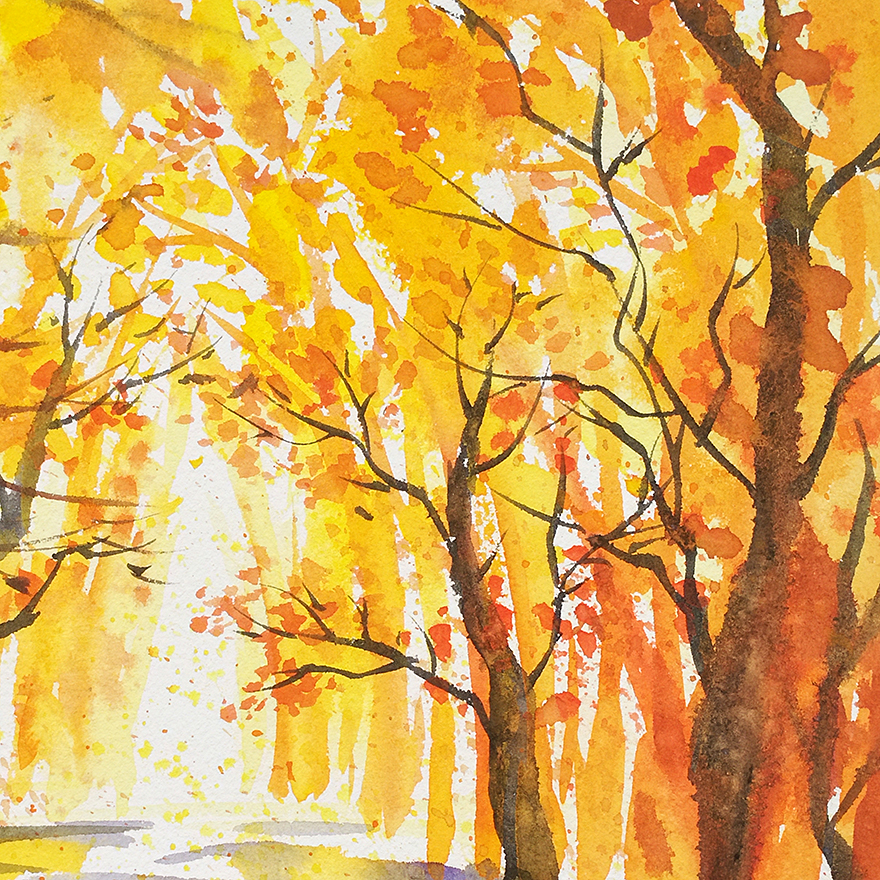 秋天的枫树水粉画图片