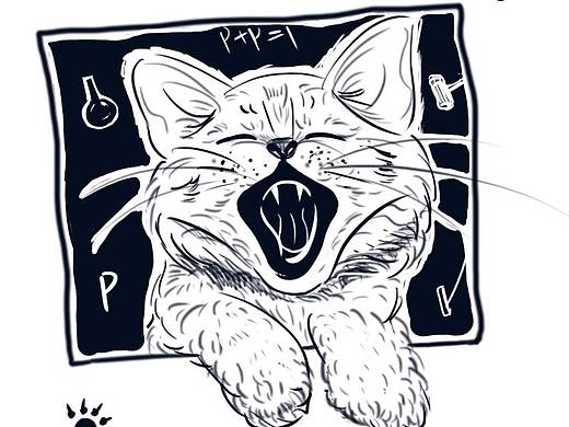 我是一只猫