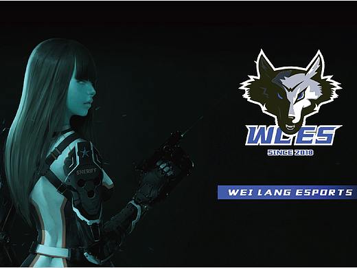 WEI LANG ESPORTS