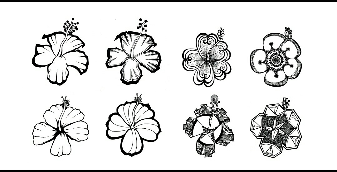 扶桑花――花卉练习