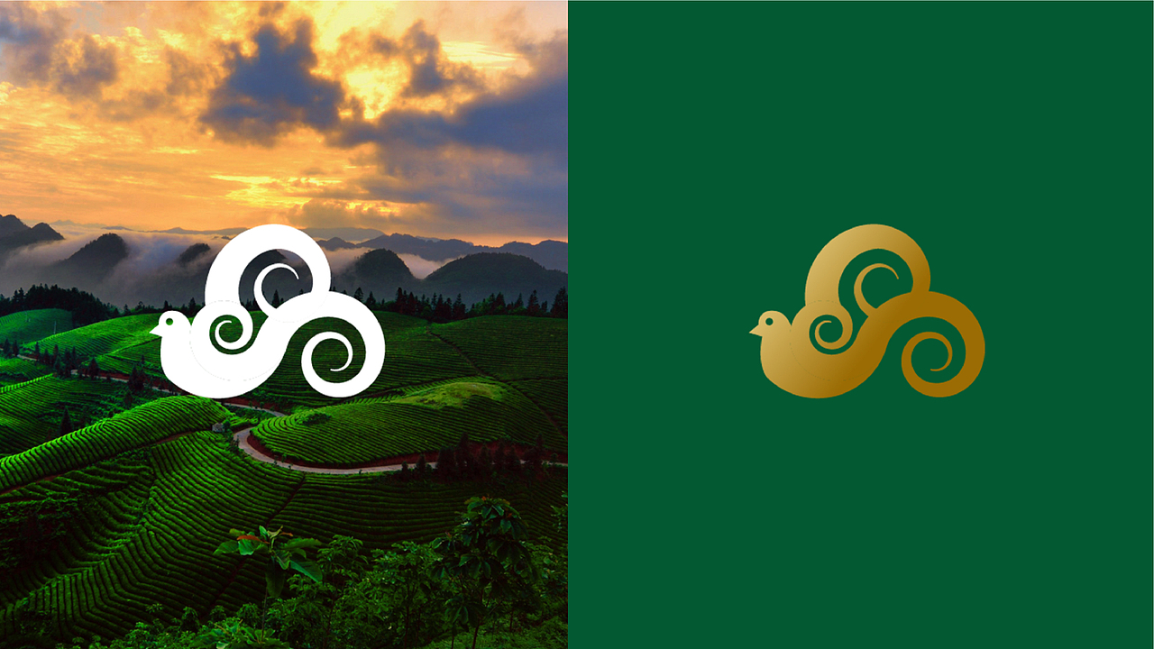 天云红茶品牌设计