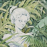 花步的头像