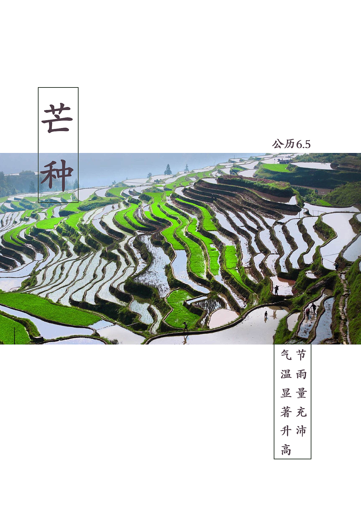 二十四节气（图ZOTY1MDg3NDQ=） - 海报 - 站酷设计师A_Lei_原创素材 - 站酷ZCOOL
