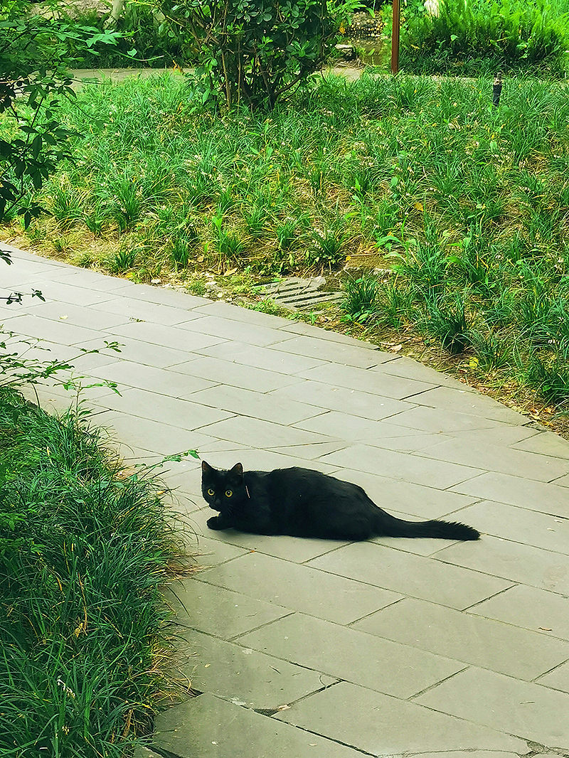 2021年手机摄影总结