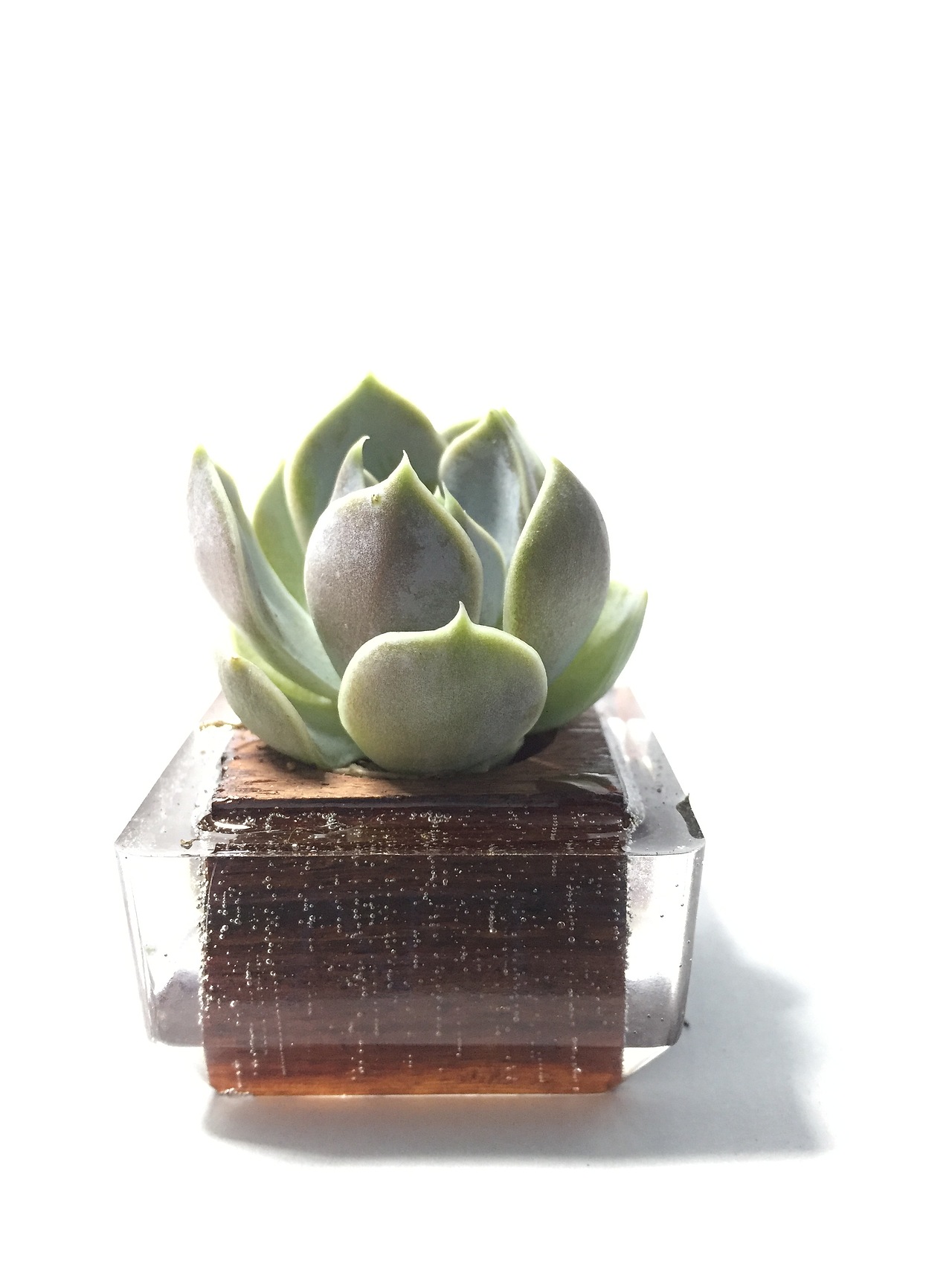 物望诗（图ZODIwMjE2NzI=） - 工艺品设计 - 站酷设计师格物顧原创素材 - 站酷ZCOOL