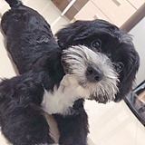 卡莎它老母亲的头像
