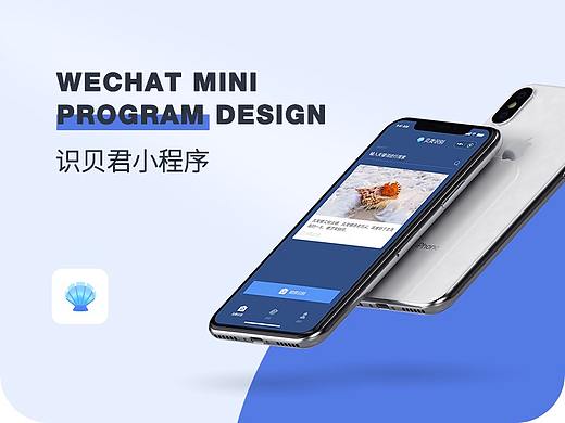 识贝君小程序