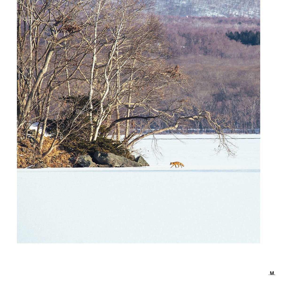 【旅行的意义】 -雪白北海道-(图ZODk3NzA5NzI=) - 风光摄影 - 站酷设计师晆时_micheal原创素材 - 站酷ZCOOL