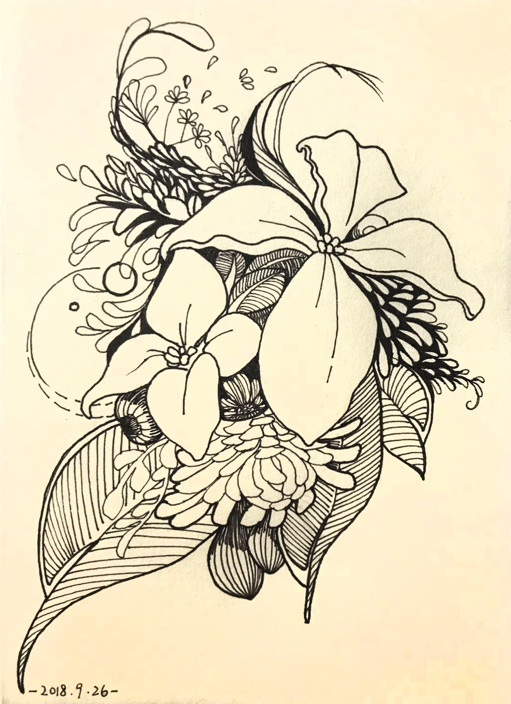 装饰画 插画 手绘 黑白