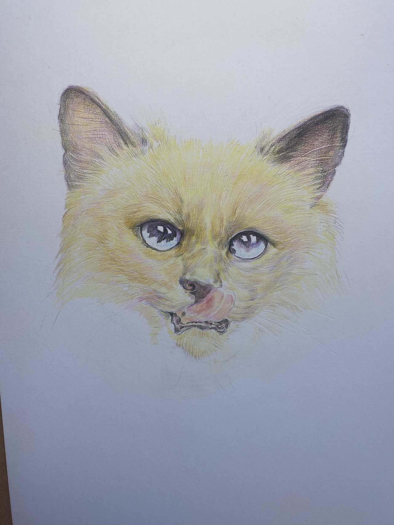 彩铅画，宠物（图ZMjk0MDA1NzY0） - 新锐潮流插画 - 站酷设计师走者原创素材 - 站酷ZCOOL