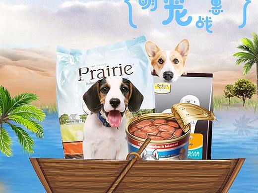 寵物電商（個(gè)人主頁(yè)-ZMjUyMDgxMzY=） - 電商 - 站酷設(shè)計(jì)師哎一呦原創(chuàng)素材 - 站酷ZCOOL