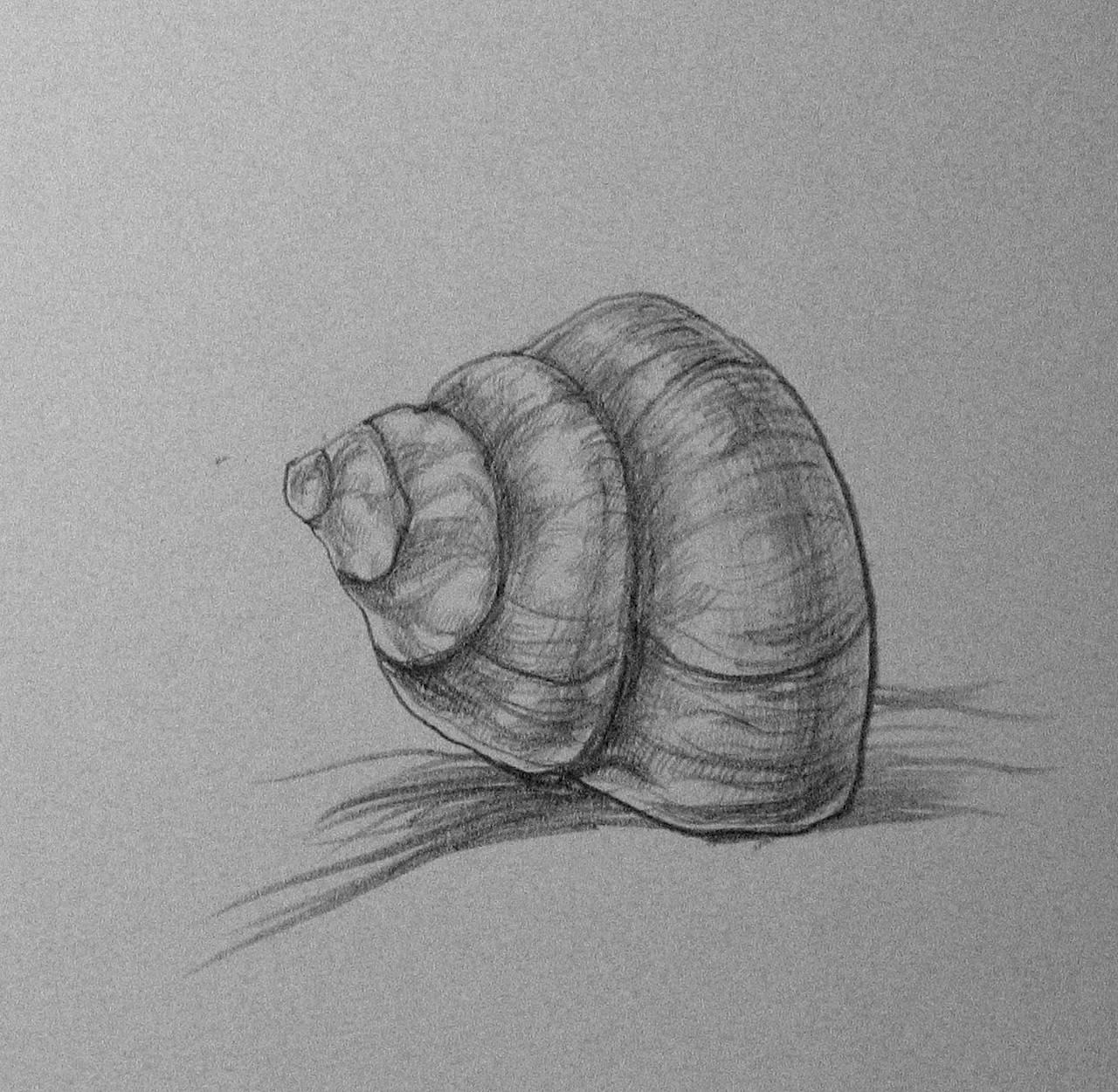 由螺蛳想到的一些玩意儿(手绘)创作7粉丝6019创作5粉丝3065创作13粉丝