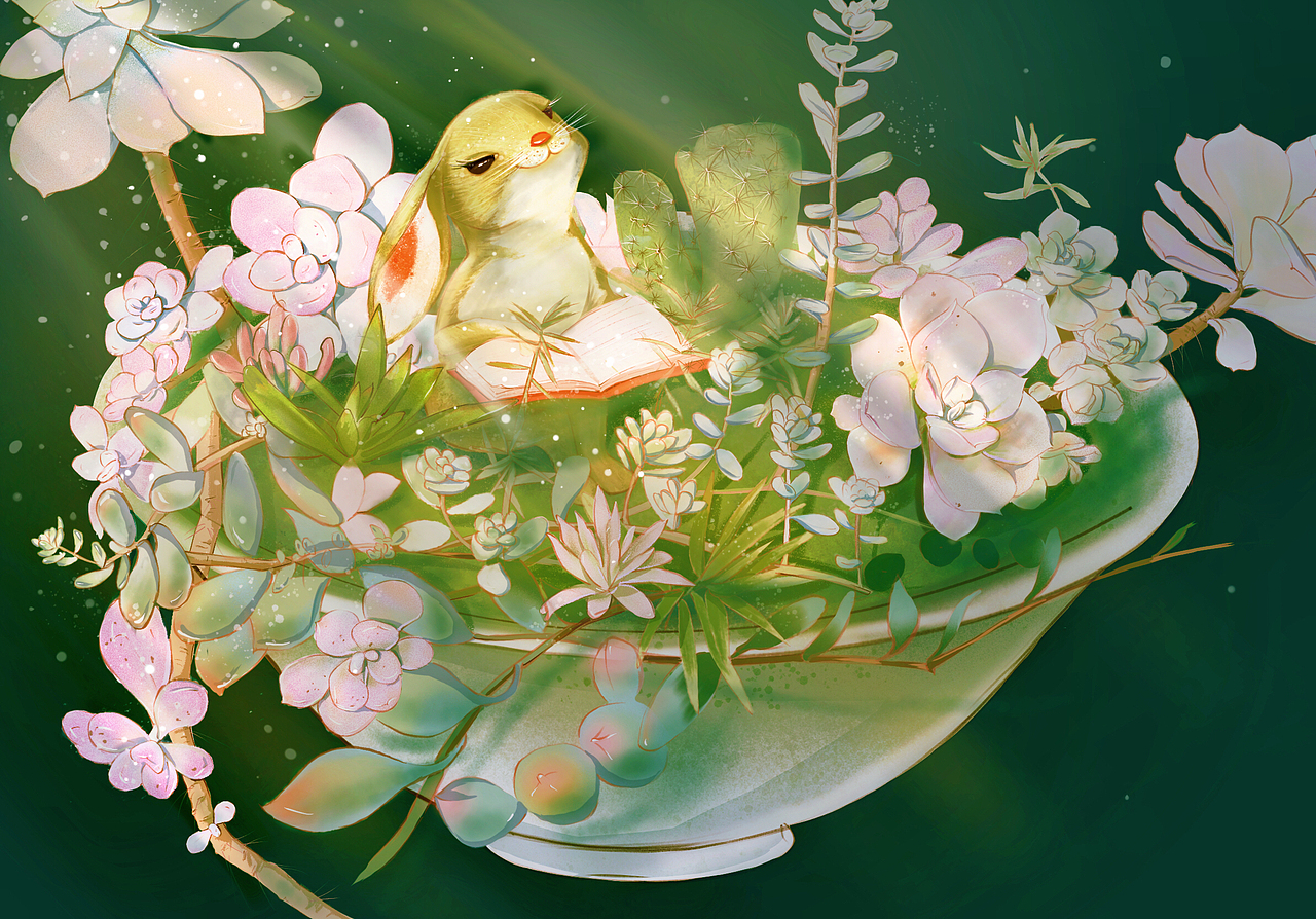 多肉植物|插画|创作习作|小山山滴画画日常_原创作品-站酷zcool