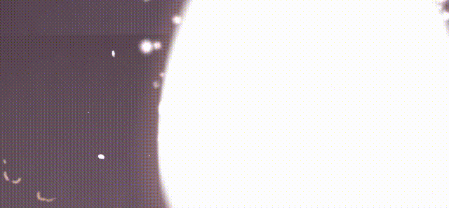 梦幻新诛仙视觉全案(图ZMjczNTYxMTIw) - 游戏/娱乐 - 站酷设计师草莓绿原创素材 - 站酷ZCOOL