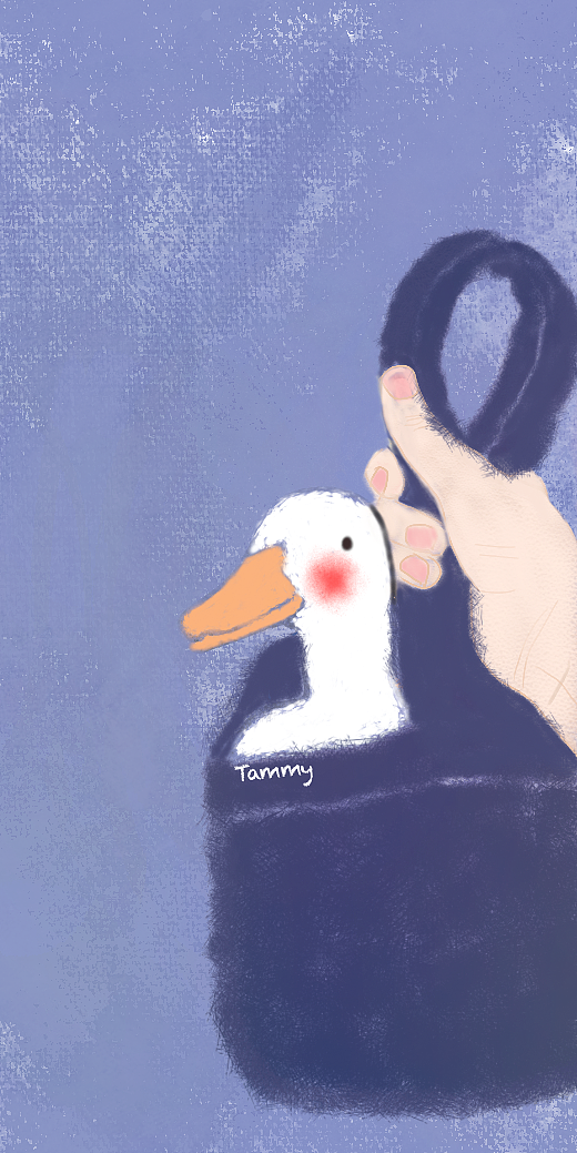 等你鸭和我来鸭