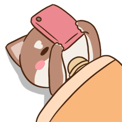 Kiwi的日常2