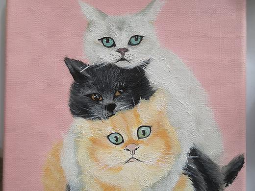 三只猫