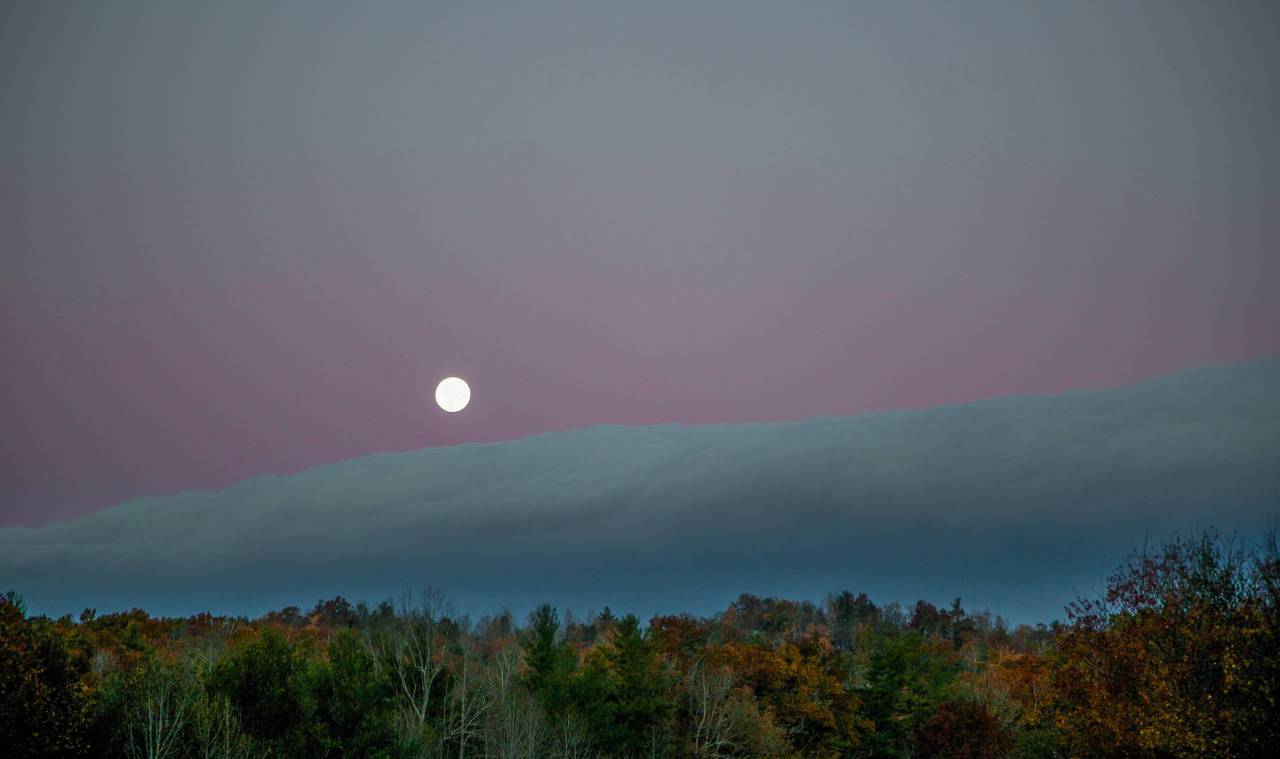 JINLI_L的個人主頁（背景預(yù)覽） - 主頁背景設(shè)置 - 站酷設(shè)計師JINLI_L原創(chuàng)素材 - 站酷ZCOOL