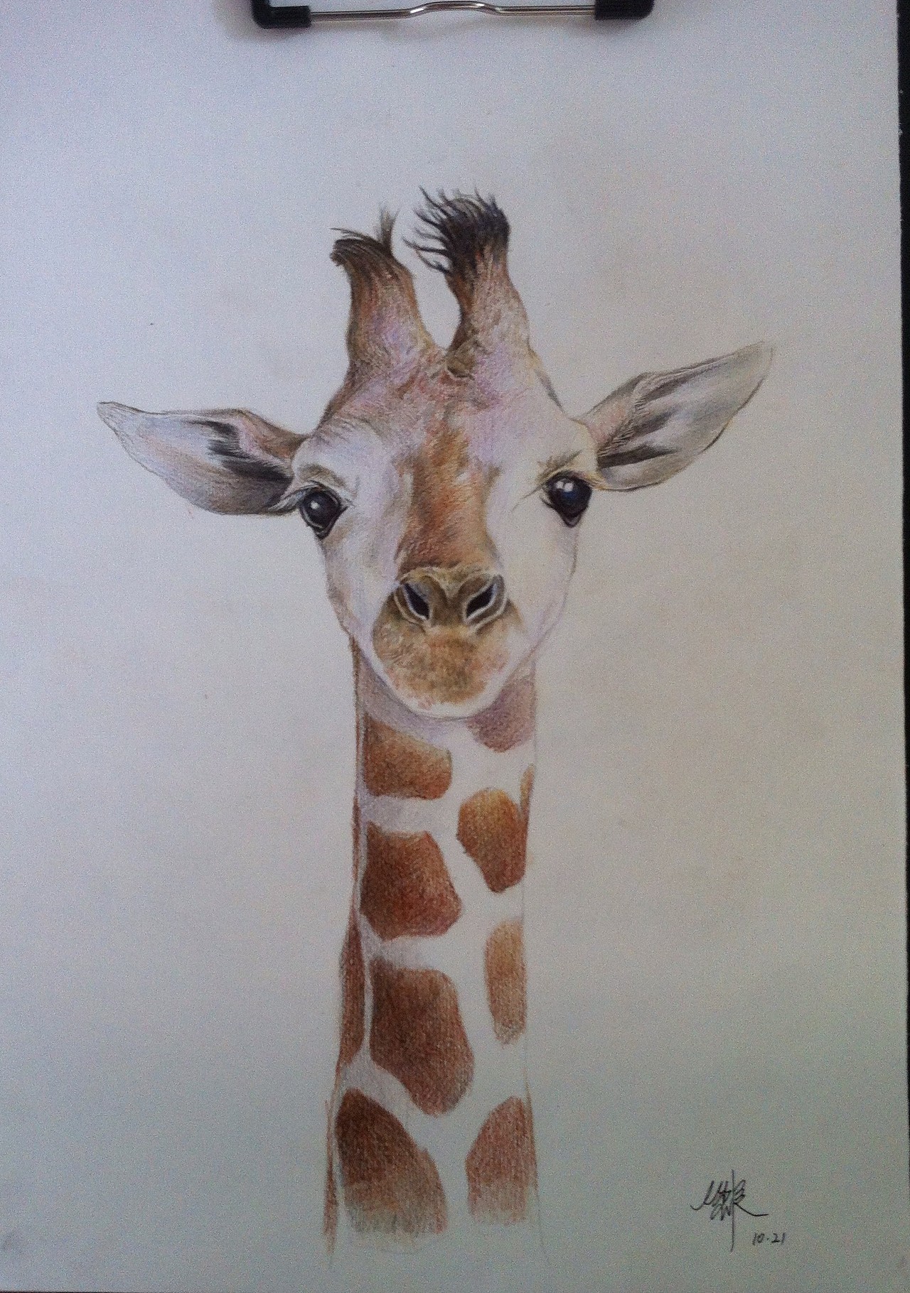 长颈鹿--兽首系类|纯艺术|绘画|秋天的屌丝_原创作品-站酷zcool