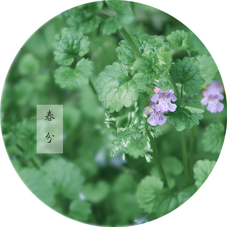 春分日