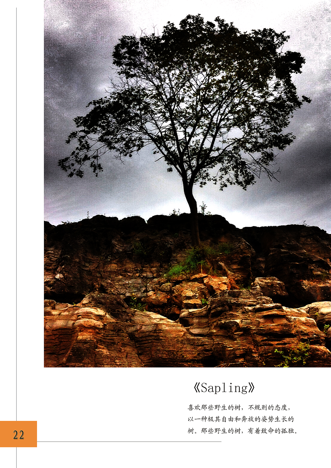 摄影作业（图ZNzk0MTk0MzI=） - 其他摄影 - 站酷设计师FLOWER_JFF原创素材 - 站酷ZCOOL