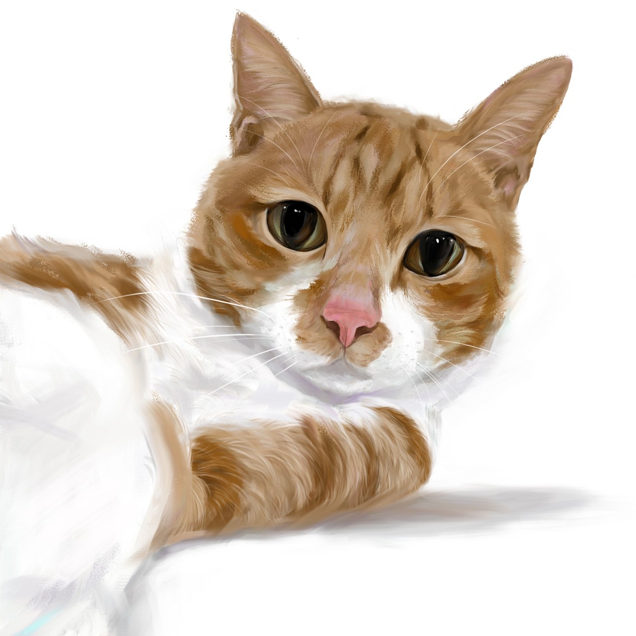 辣条猫猫-板绘写生