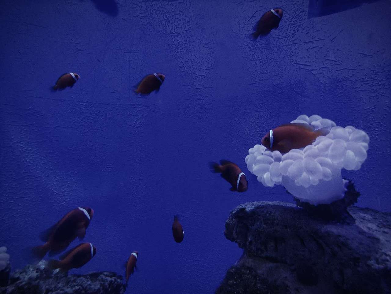 霓虹幻彩（图ZMjIxOTk2NjM2） - 其他 - 站酷设计师氓氓神荼原创素材 - 站酷ZCOOL