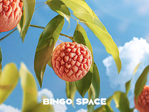 产品摄影｜麦轩荔枝酥kv拍摄