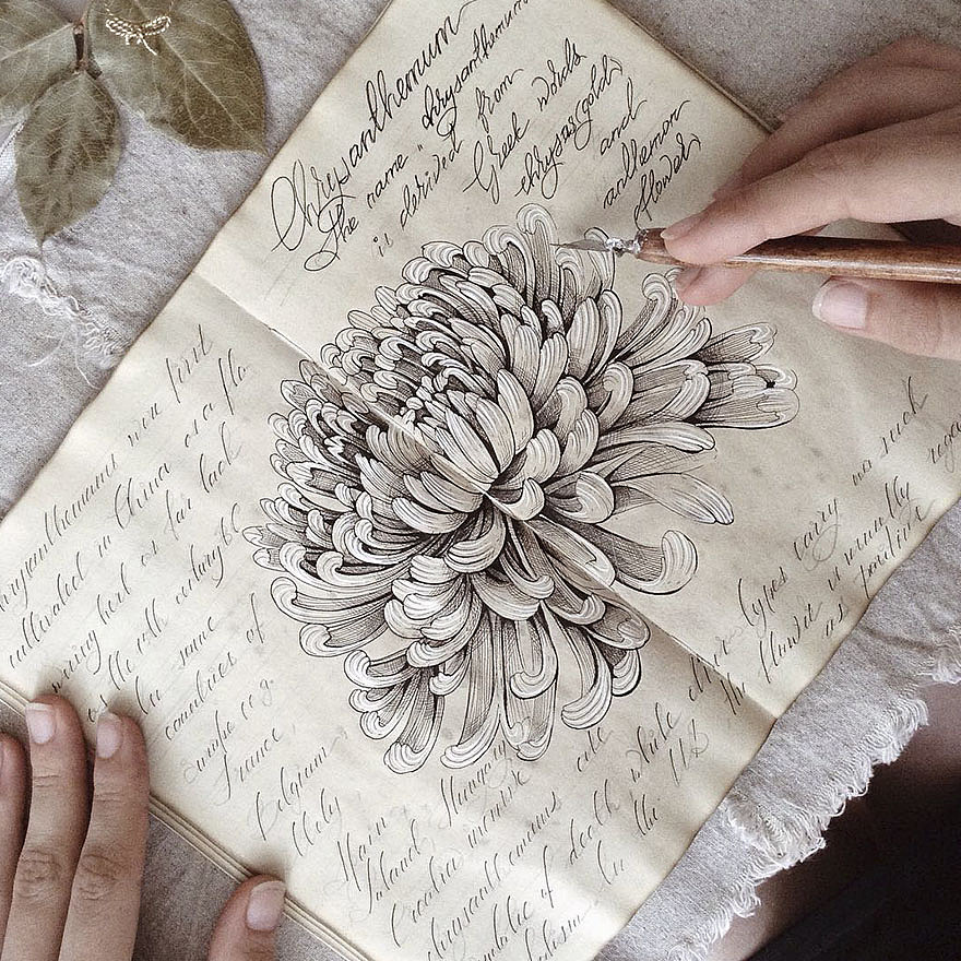 插画手绘设计。