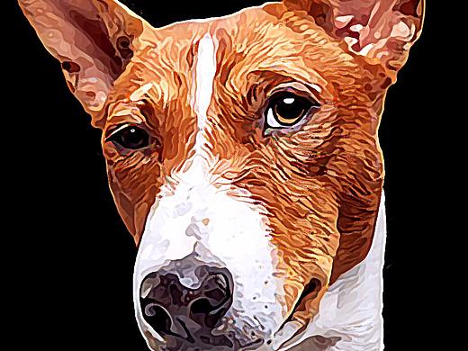 油画练习（个人主页-ZMzgwNzYwNTI=） - 海报 - 站酷设计师李洛克3790原创素材 - 站酷ZCOOL