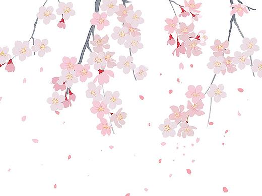樱花