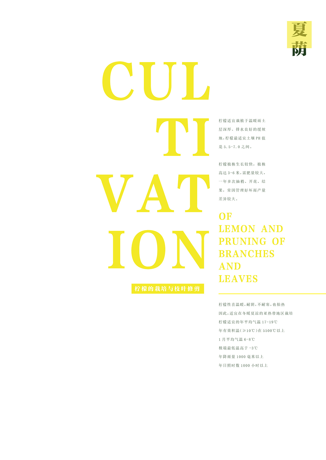 视觉-一颗柠檬画册排版书籍文字设计