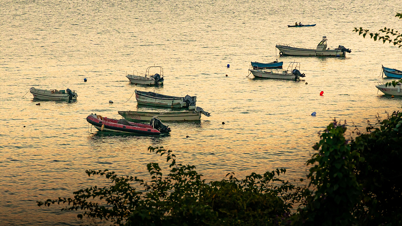 从大学路到小麦岛