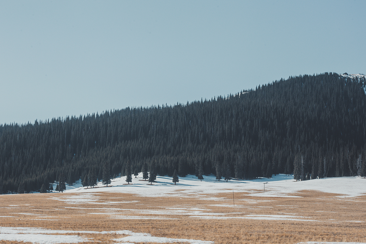 遇见油画般的【北疆】