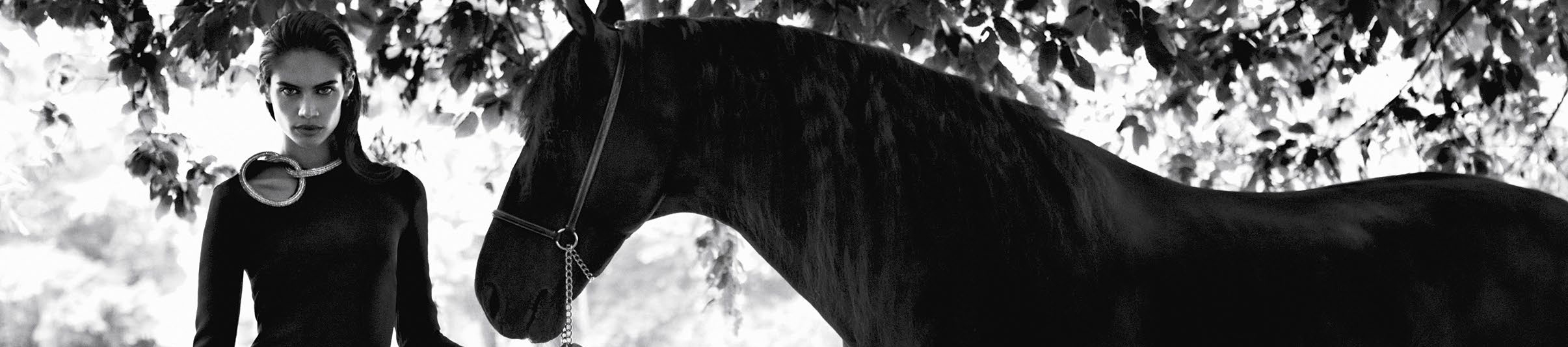 修圖師劉路的個(gè)人主頁（封面預(yù)覽） - 主頁封面設(shè)置 - 站酷設(shè)計(jì)師修圖師劉路原創(chuàng)素材 - 站酷ZCOOL