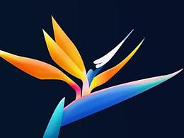 ps钢笔描摹的插画