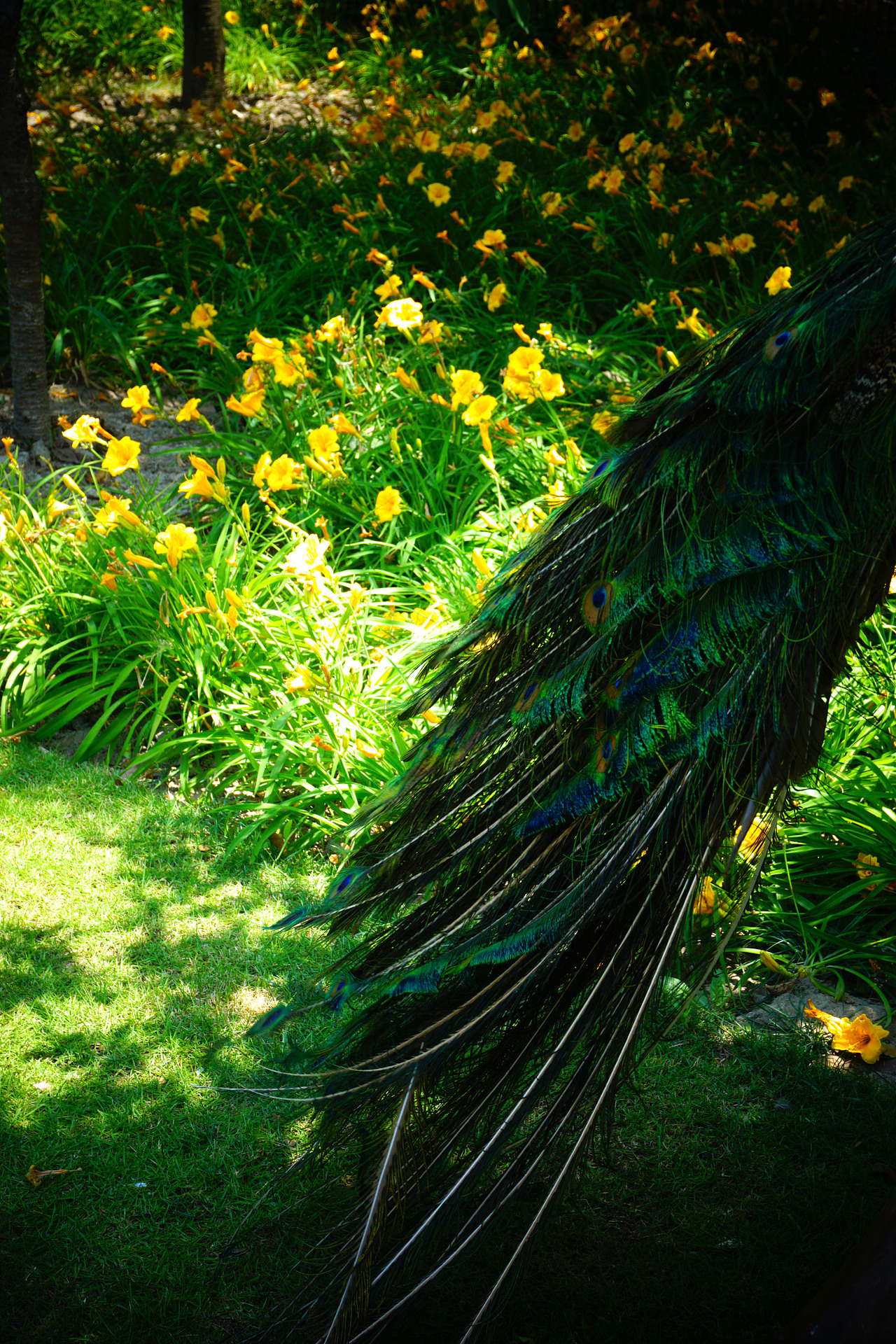 这张色彩很丰富饱满