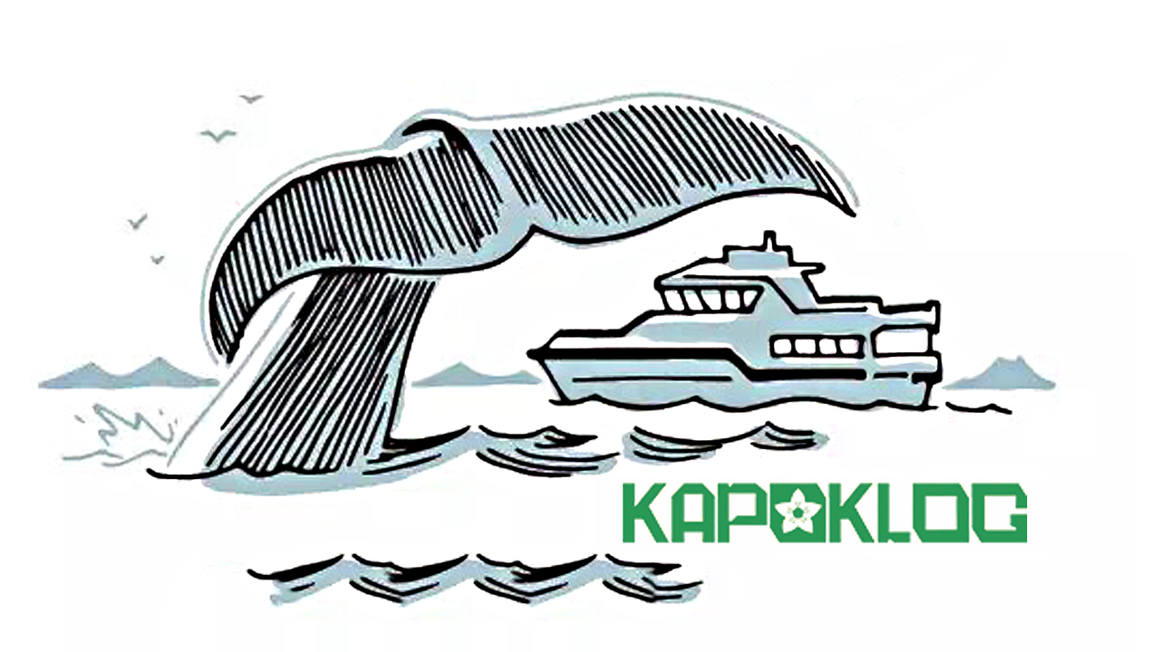 深圳市盛顺物流吉祥物设计方案 Kapoklog Logistics M（图ZMTc3NzYzOTQ4） - IP形象 - 站酷设计师盛顺物流原创素材 - 站酷ZCOOL