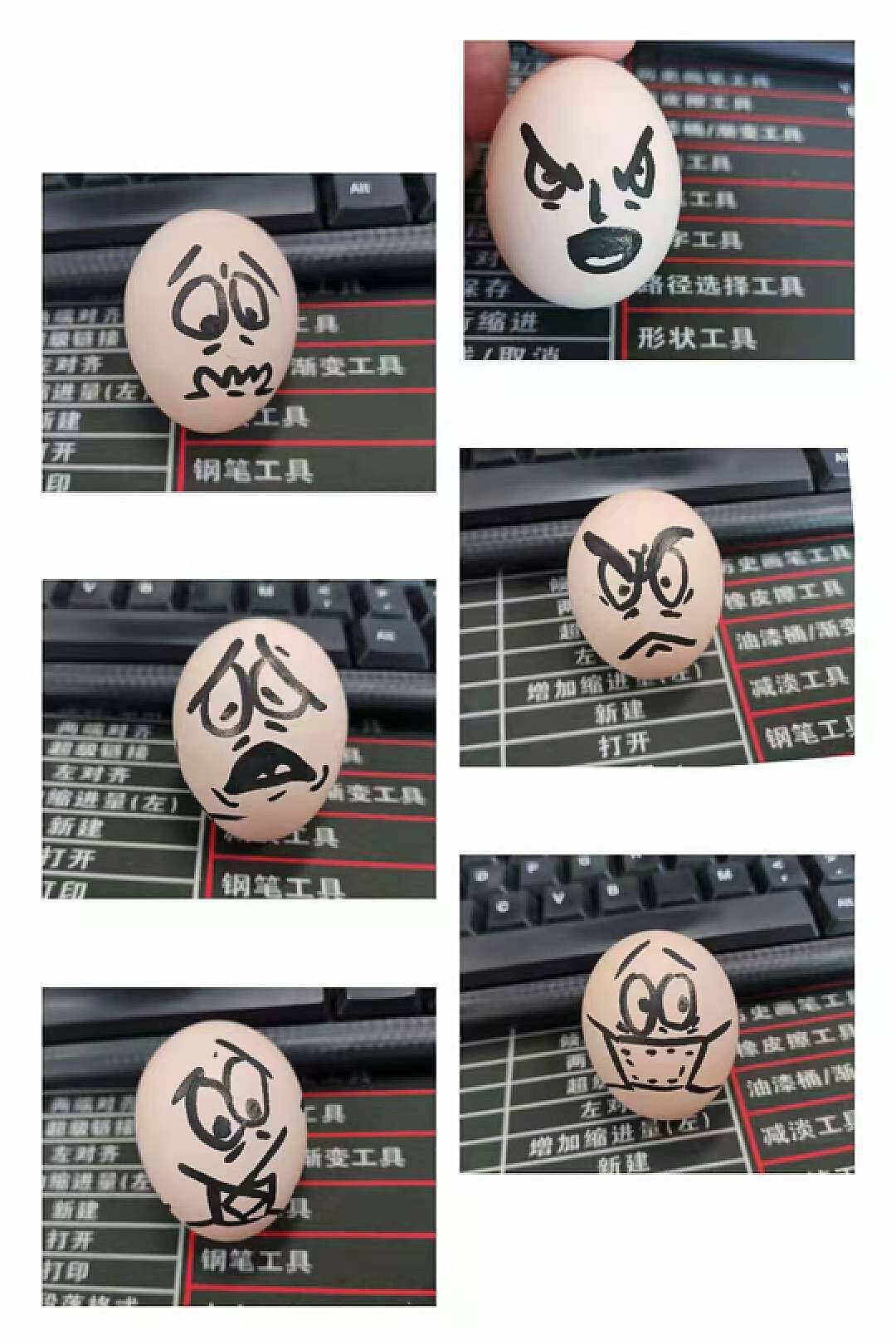在鸡蛋上画简单的图片-图库-五毛网