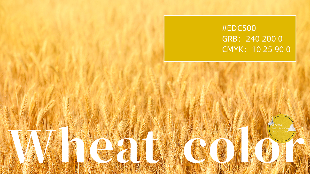 德式小麦啤酒 | 包装设计