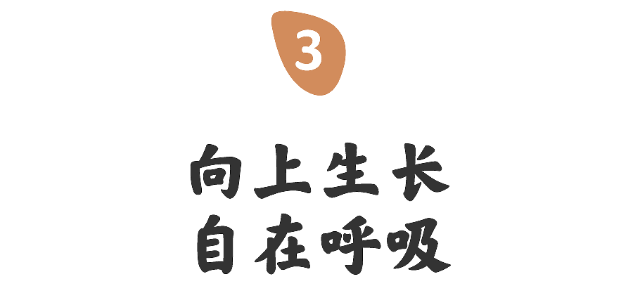 可口可乐在乎体:写在乎的事,给在乎的人(图ZMjA1NDYxNDI0) - 字体/字形 - 站酷设计师方正字库原创素材 - 站酷ZCOOL
