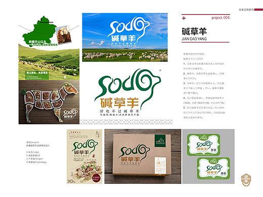羊——新疆碱草羊