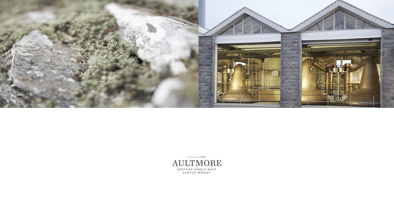 百加得公司威士忌品类介绍PPT