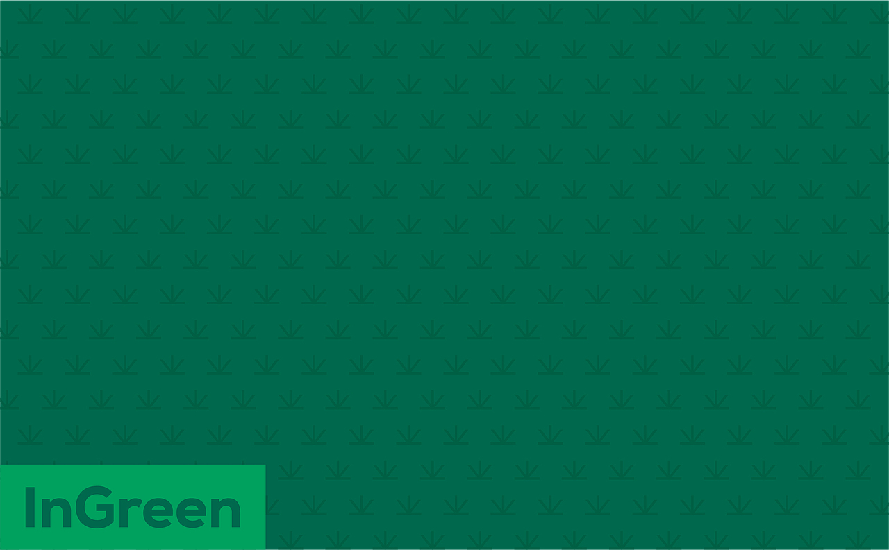INGREEN 轻元素丨青汁（图ZMjgyMTAyNDMy） - 品牌 - 站酷设计师TULAOWANG原创素材 - 站酷ZCOOL