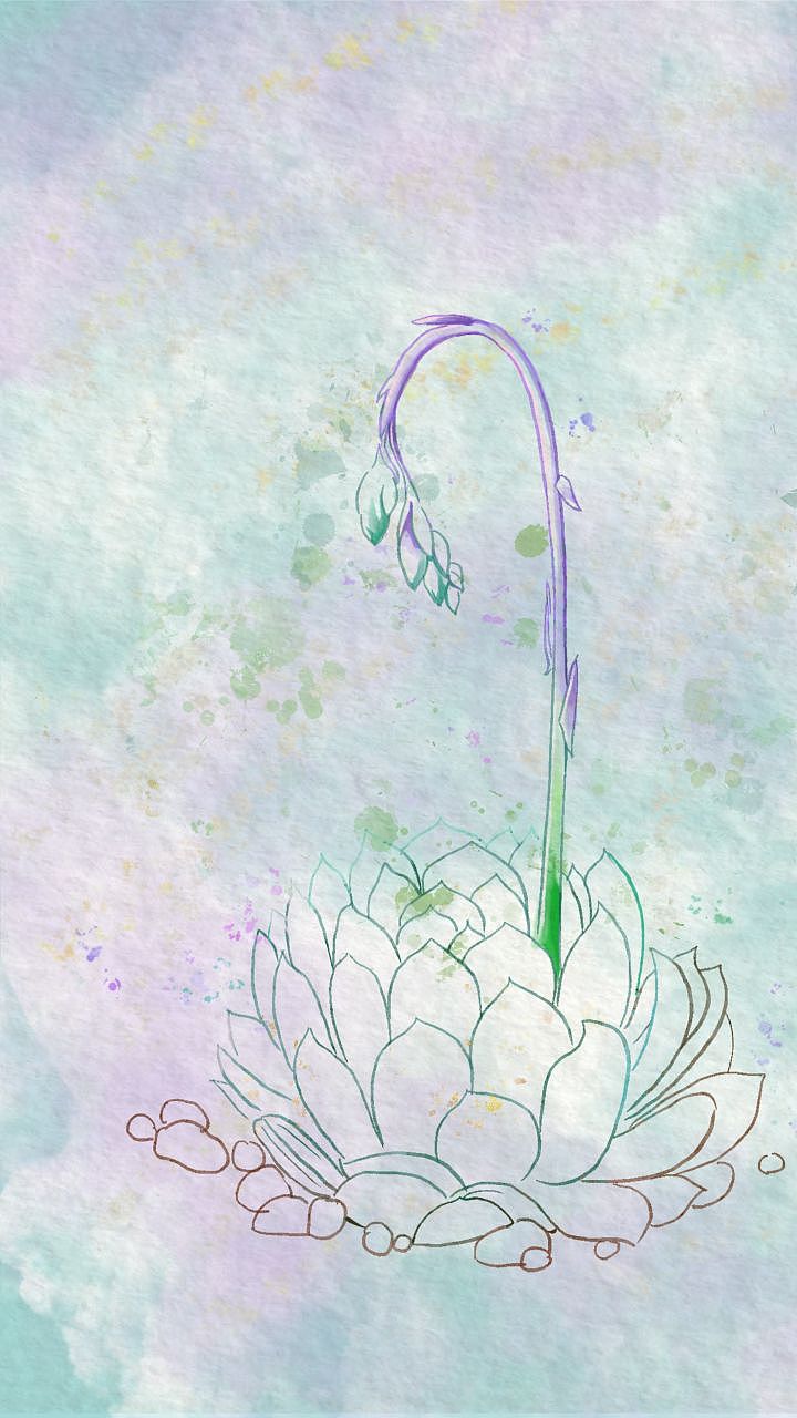 多肉植物壁纸创作（图ZMzUzOTI5MDg0） - 艺术插画 - 站酷设计师魏小俊WEIXIAOJUN原创素材 - 站酷ZCOOL