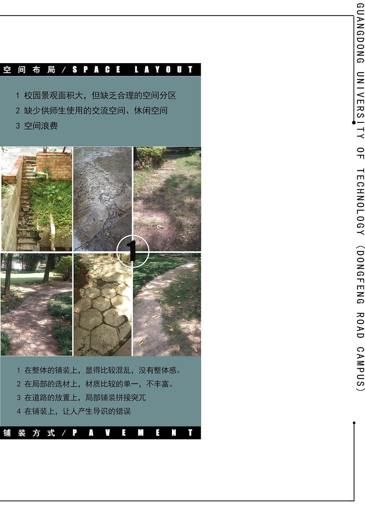 校园植物【作业】（图ZNTQ5MzA4MTY=） - 景观设计 - 站酷设计师绒化的冰淇淋原创素材 - 站酷ZCOOL