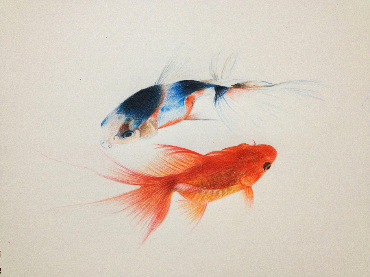 鱼|纯艺术|钢笔画|雷春宏 - 原创作品 - 站酷 (ZCOOL)
