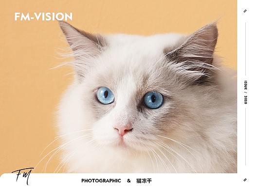 猫冻干 | 场景图 | 方米视觉